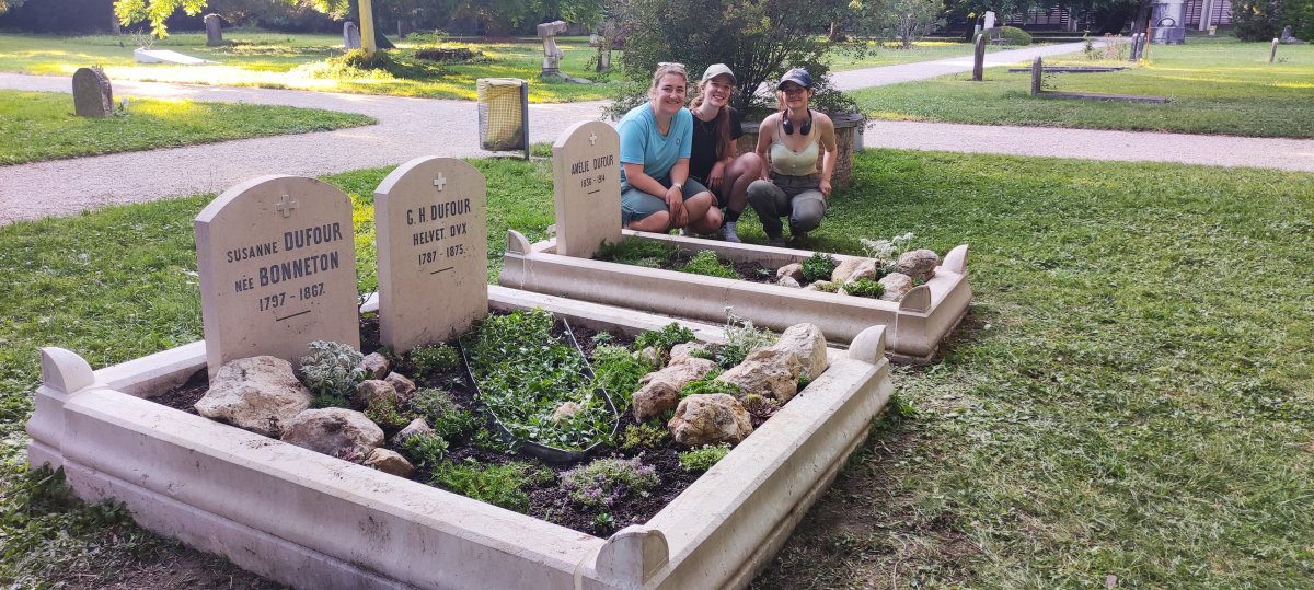 Image à la fin de la journée de plantation