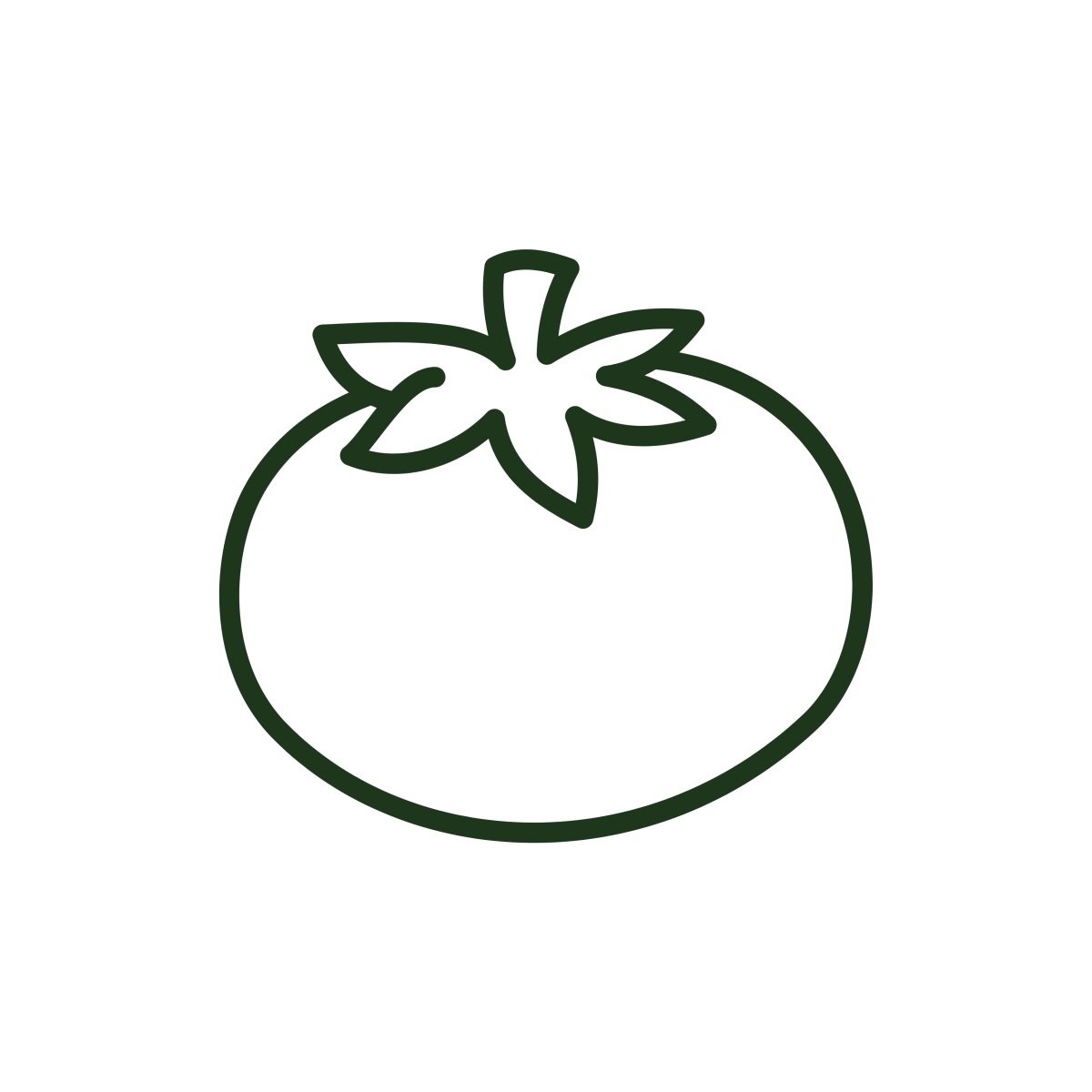 Tomates