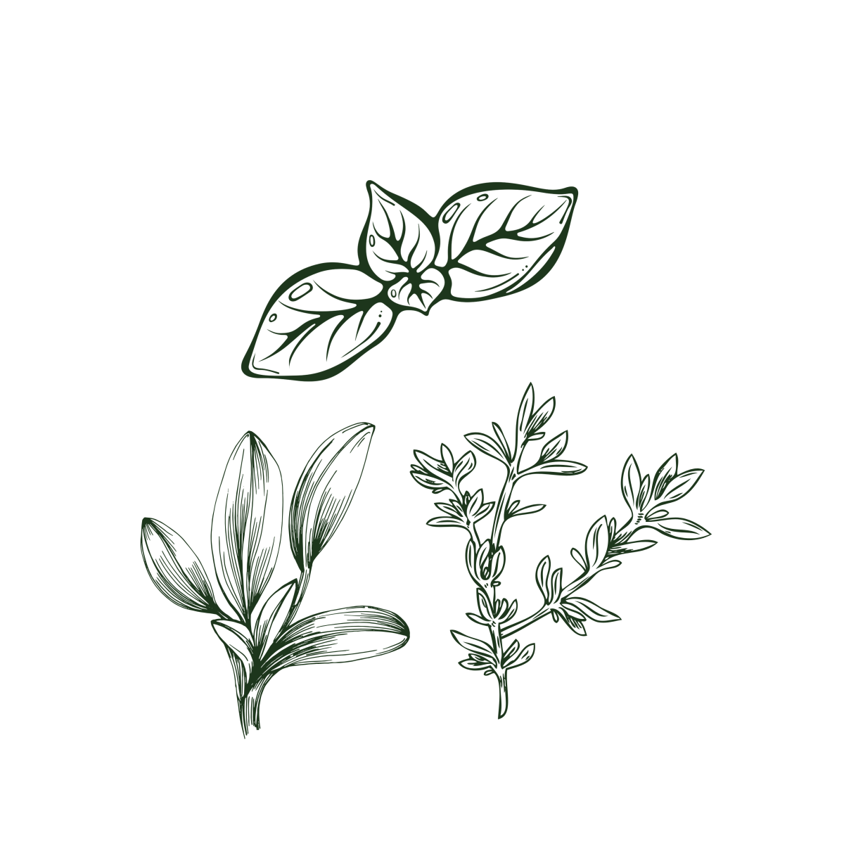 Aromatiques