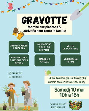 Image à la fin de la journée de plantation