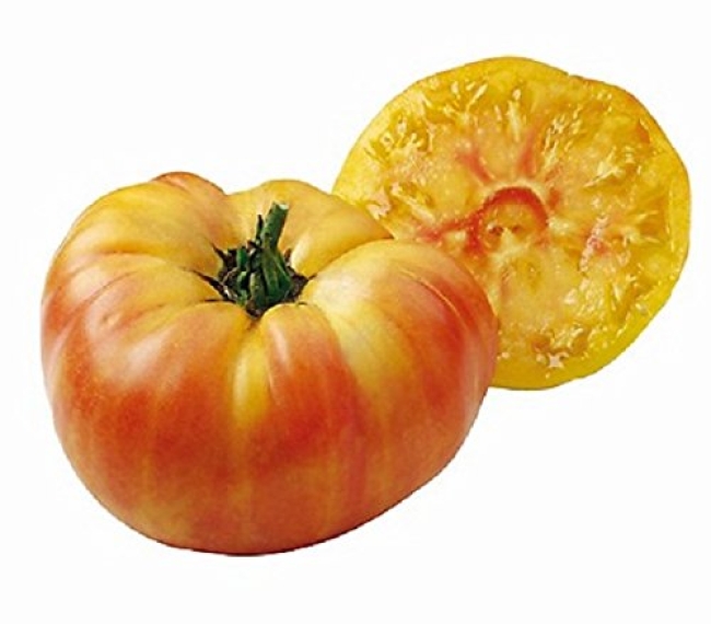 Planton tomate Ananas