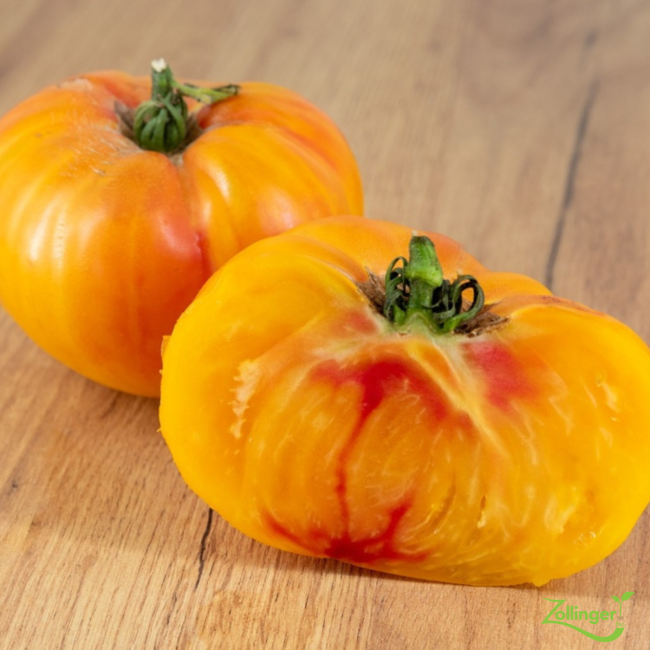 Planton de tomate Ananas