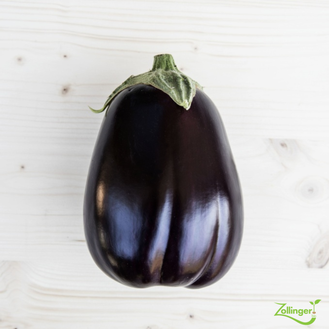Aubergine Black Beauty