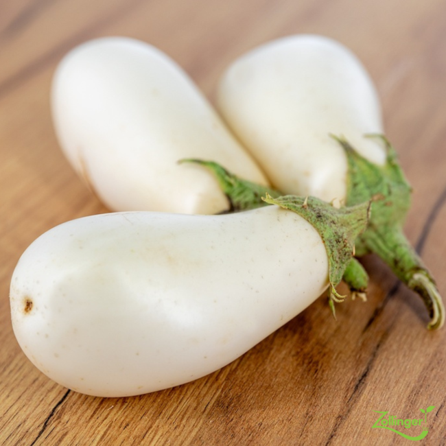 Aubergine Boule blanche