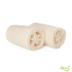 Planton de courge à éponge